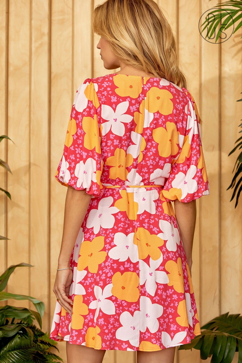 Plus V Neck Fit and Flare Print Dress