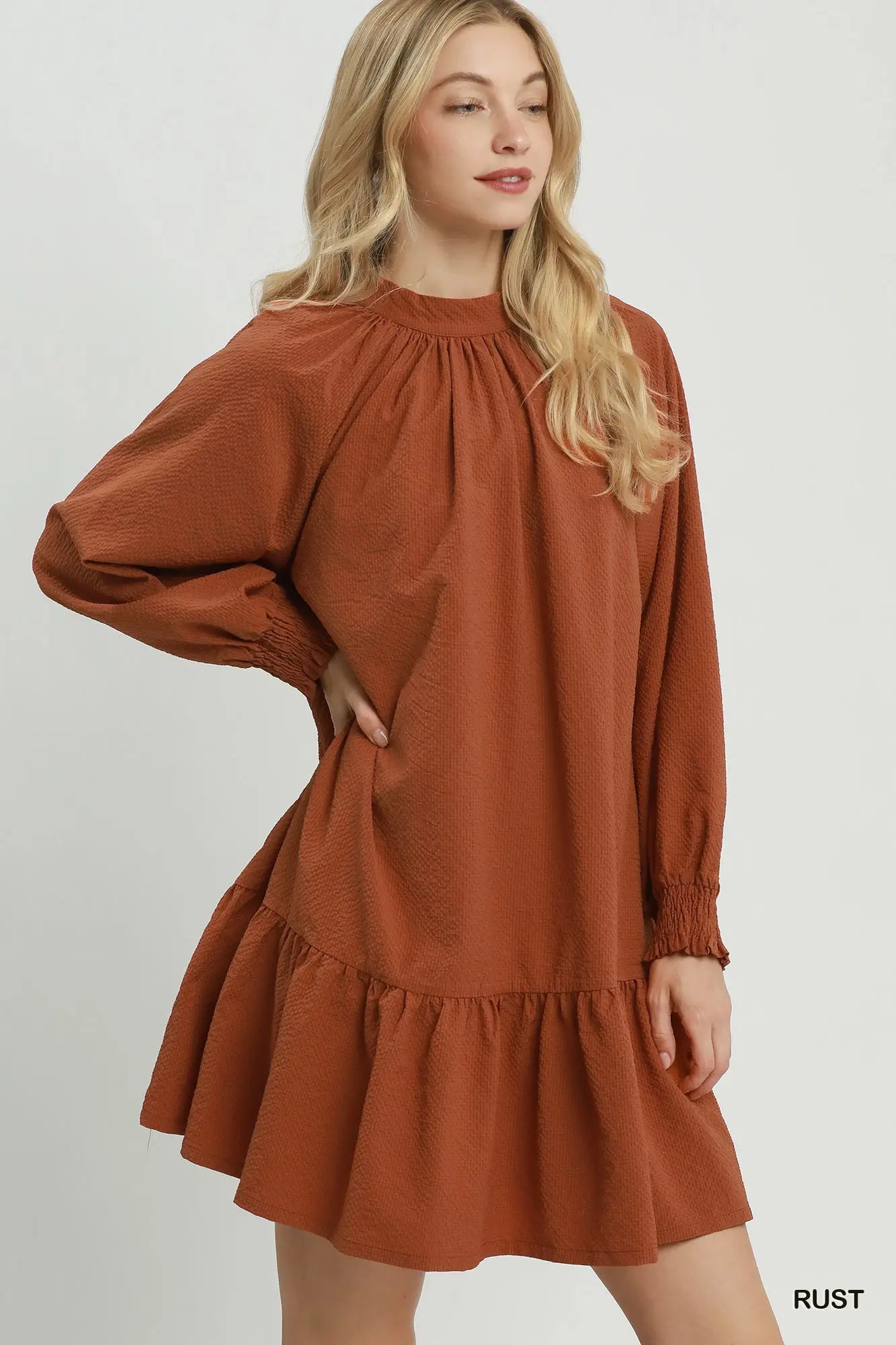 Textured Long Sleeve Mini Dress w/Back Bow Tie
