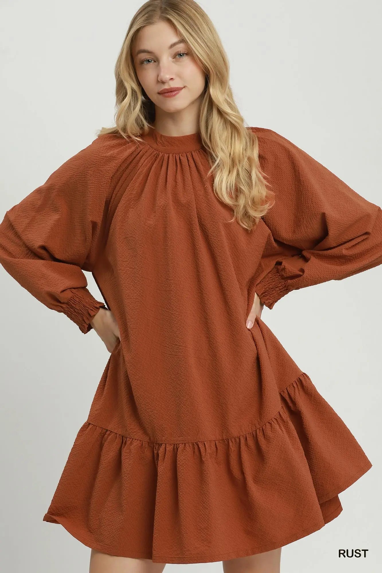 Textured Long Sleeve Mini Dress w/Back Bow Tie