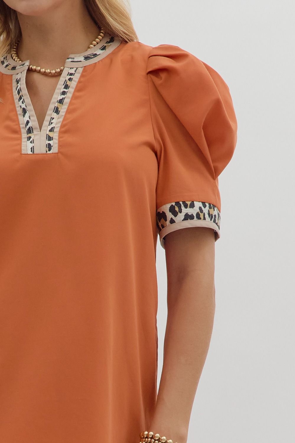 Animal Print Contrast Mini Dress